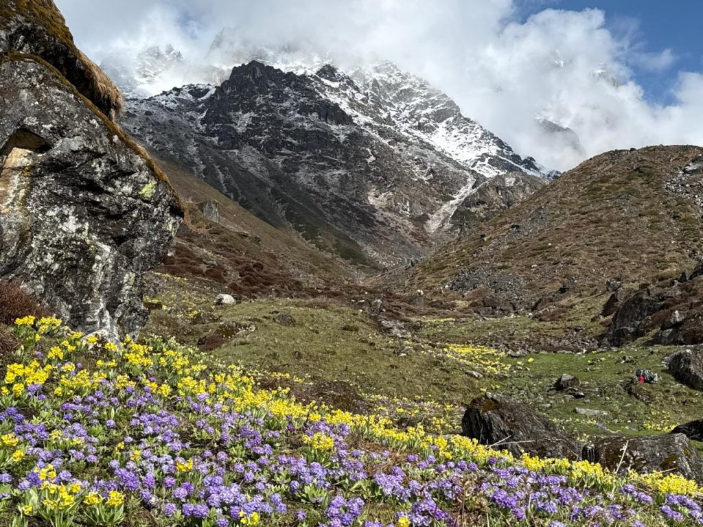 Khopra Danda Trek